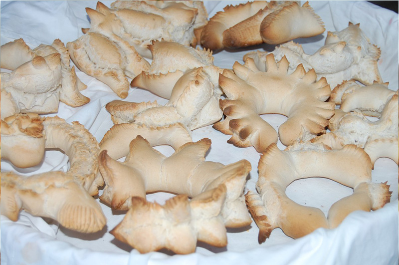coccoi