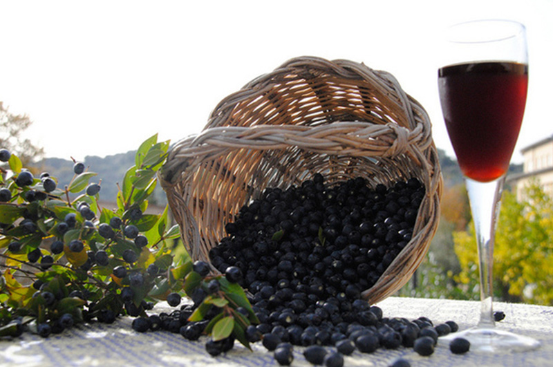 mirto